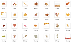 دانلود png برگ پاییزی بدون پس زمینه رایگان